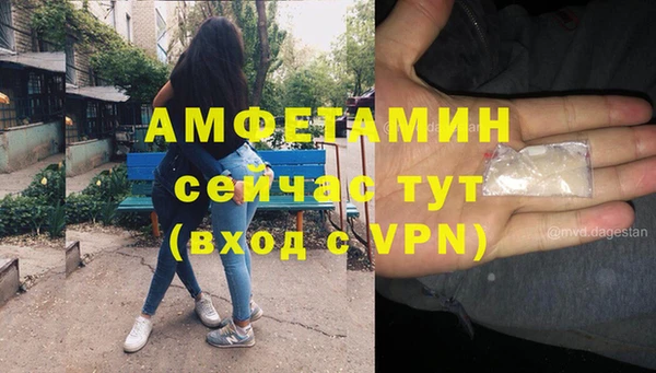 индика Баксан