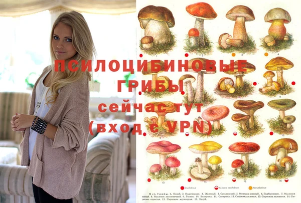 прущая мука Белоозёрский